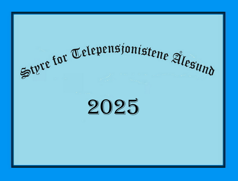 Styret i Ålesund 2025