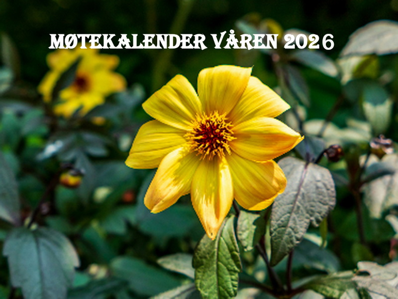 Møteprogram våren 2026